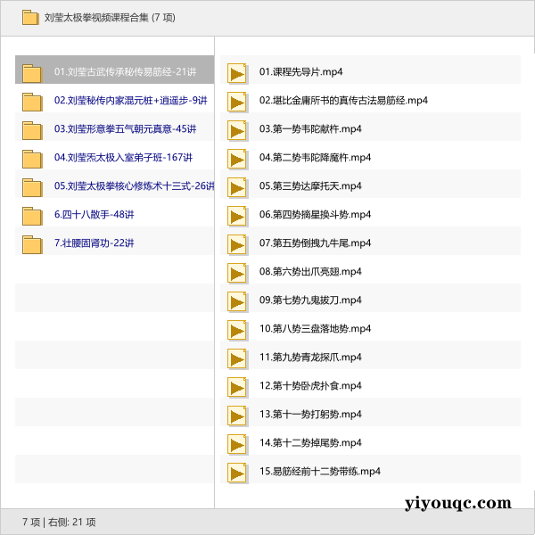 刘莹太极拳视频课程合集-思思资源站