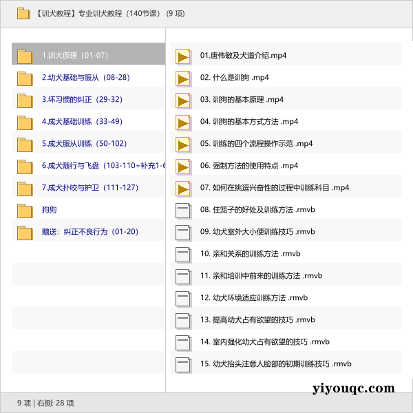 专业训犬教程(140节课)-思思资源站
