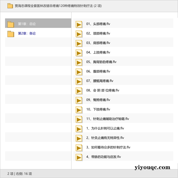 贾海忠课程全套医林改错非疼痛120种疼痛特效针刺疗法-思思资源站