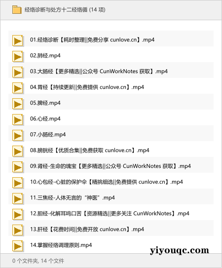 经络诊断与处方十二经络循-思思资源站
