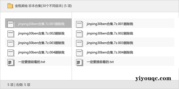 金瓶美柚 珍本合集[30个不同版本]-思思资源站