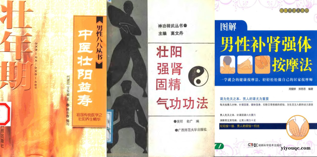 男性健康养生壮阳补肾电子书合集-思思资源站