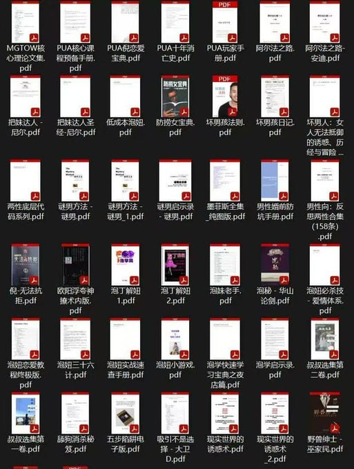 男性泡妞电子书大合集:提升约会与社交技巧的实用指南-思思资源站
