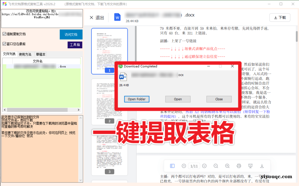 图片[2]-一招复制飞书文档内容，飞书文档内视频、图片、表格附件解锁下载权限，免安装一键运行使用 Fscopy-思思资源站