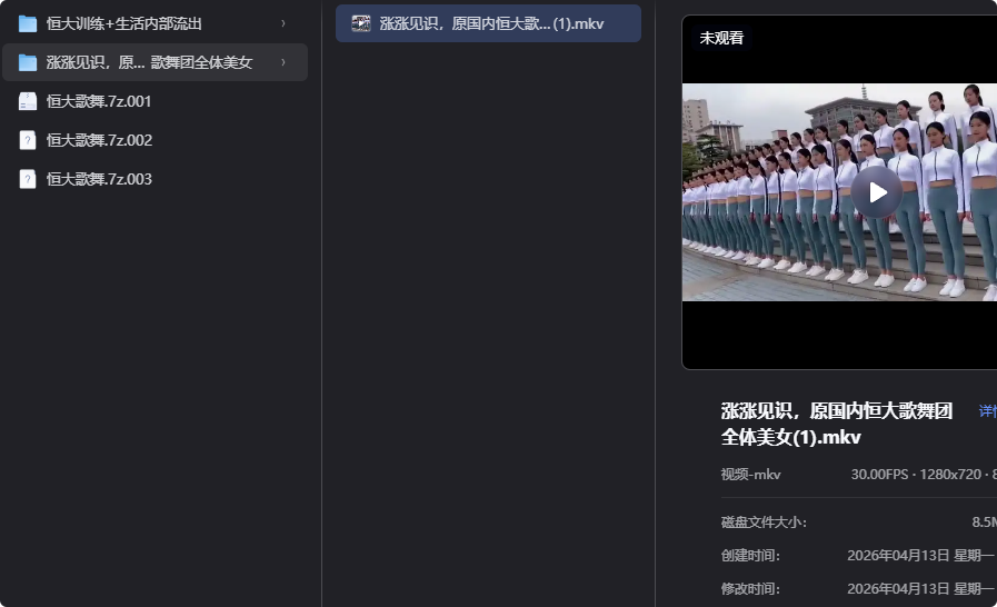 恒大歌舞团精选资源，舞动艺术之美-思思资源站